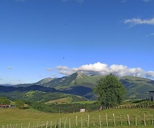 IÑI