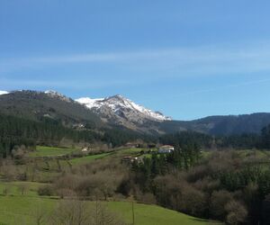 Izaro.