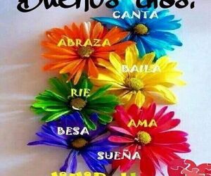 mamen