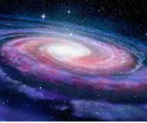 halnexus