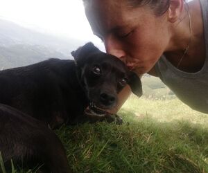 Angie
