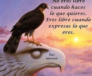 Experimentar