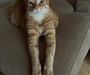 mikemad
