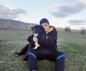 Ander