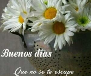 Miren