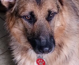 Bea