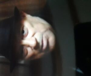 Jose Z. Garcia  