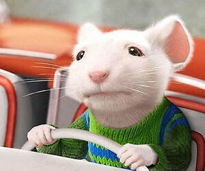 Peter