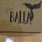 Balea. Gamon 16. Encuentro. 
