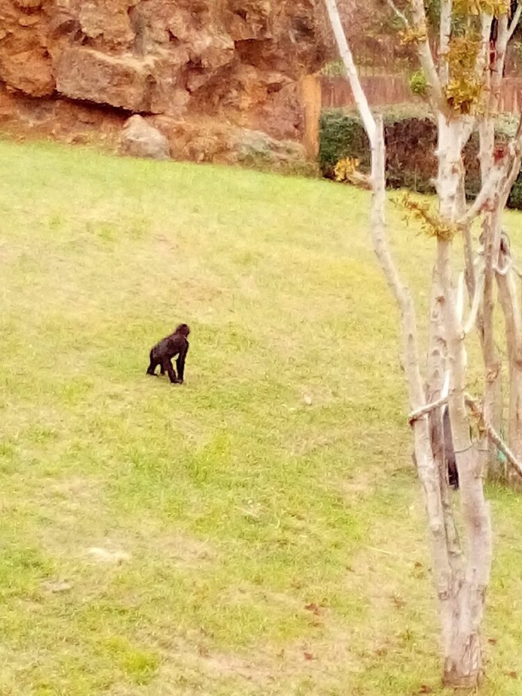 Foto de perfil de Eli