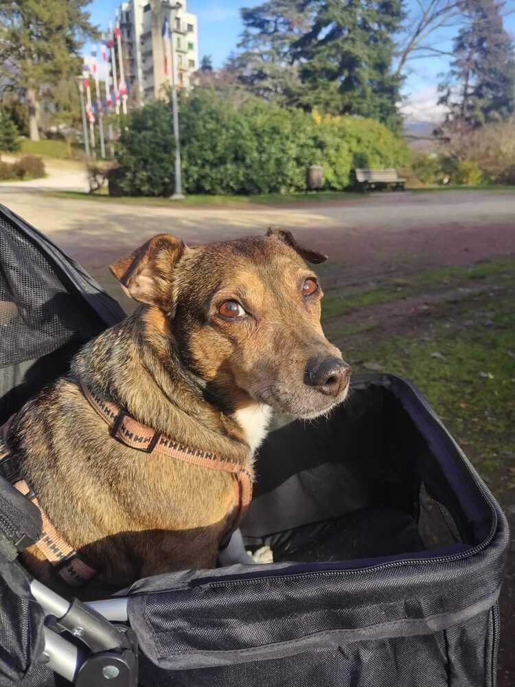 Foto de perfil de Adelyse