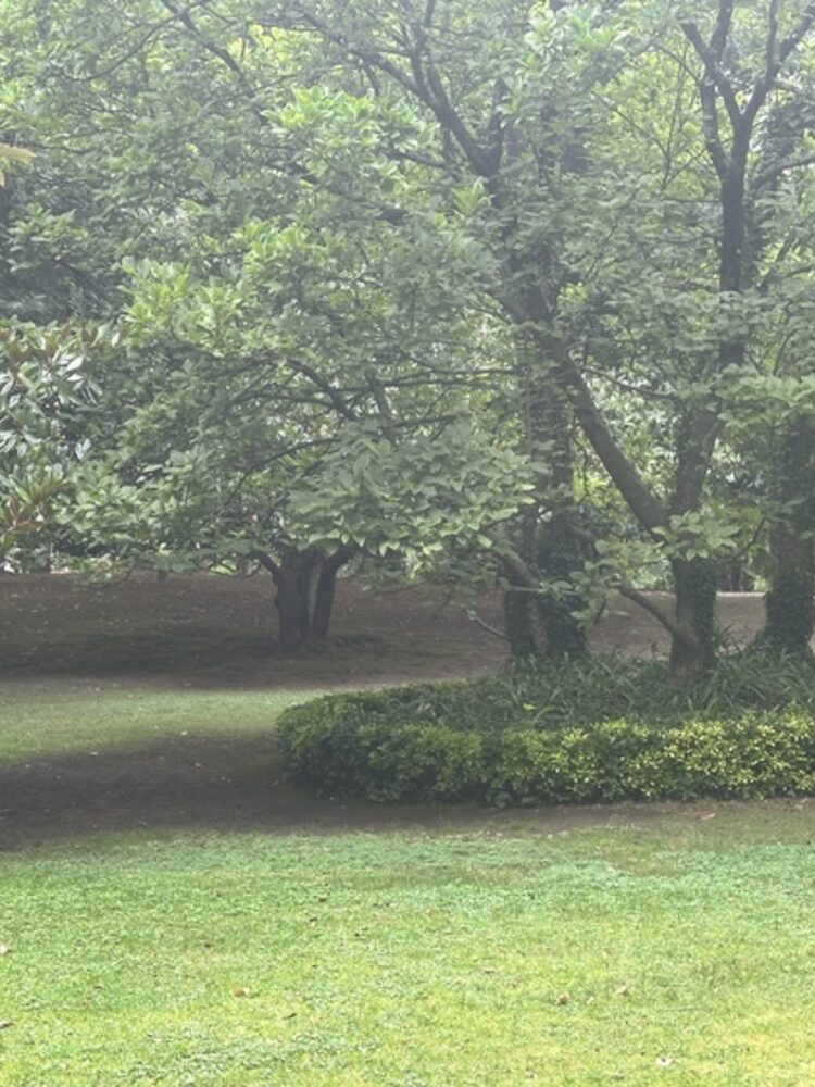 Foto de perfil de Belen
