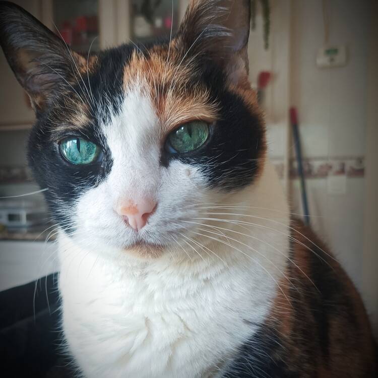 Foto de perfil