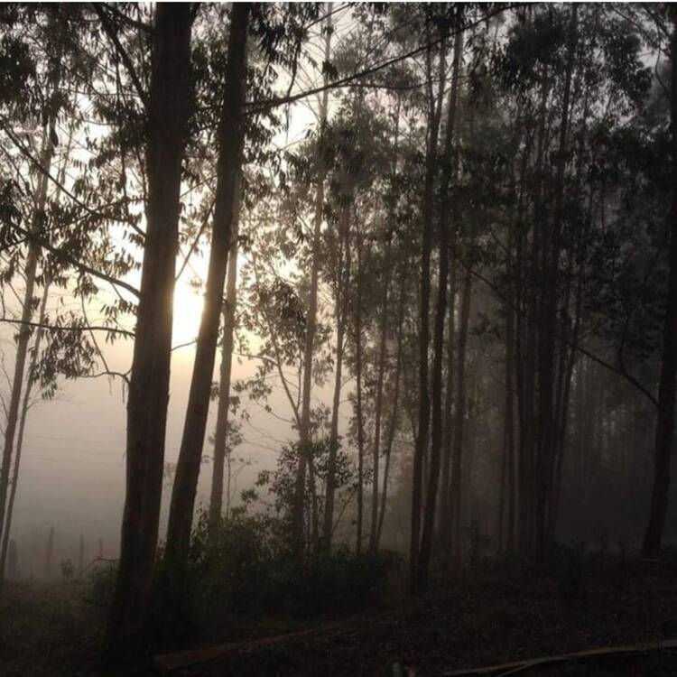 Foto de perfil de Maria