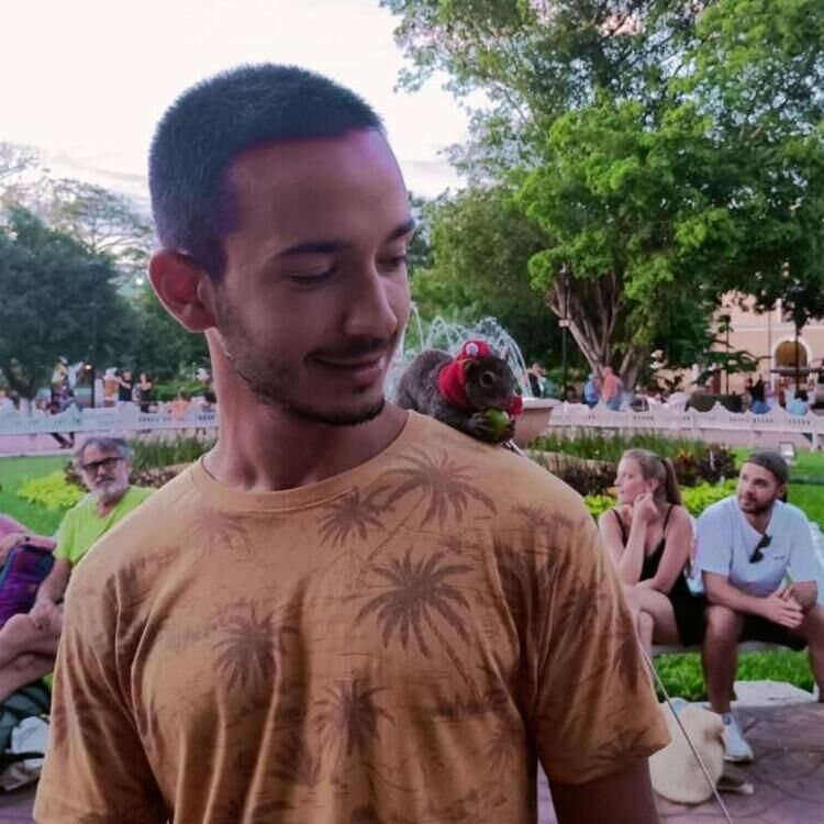 Foto de perfil de Mario