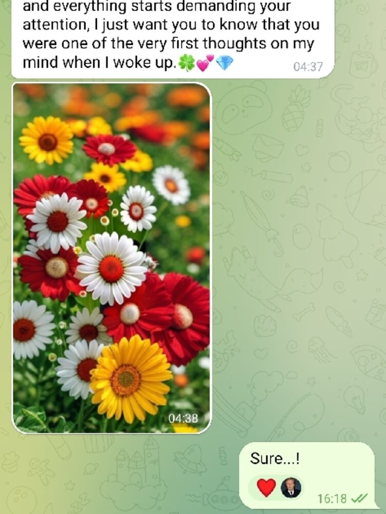 Foto de perfil de Mari Carmen