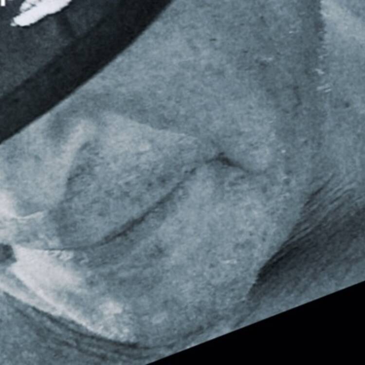 Foto de perfil de Txo