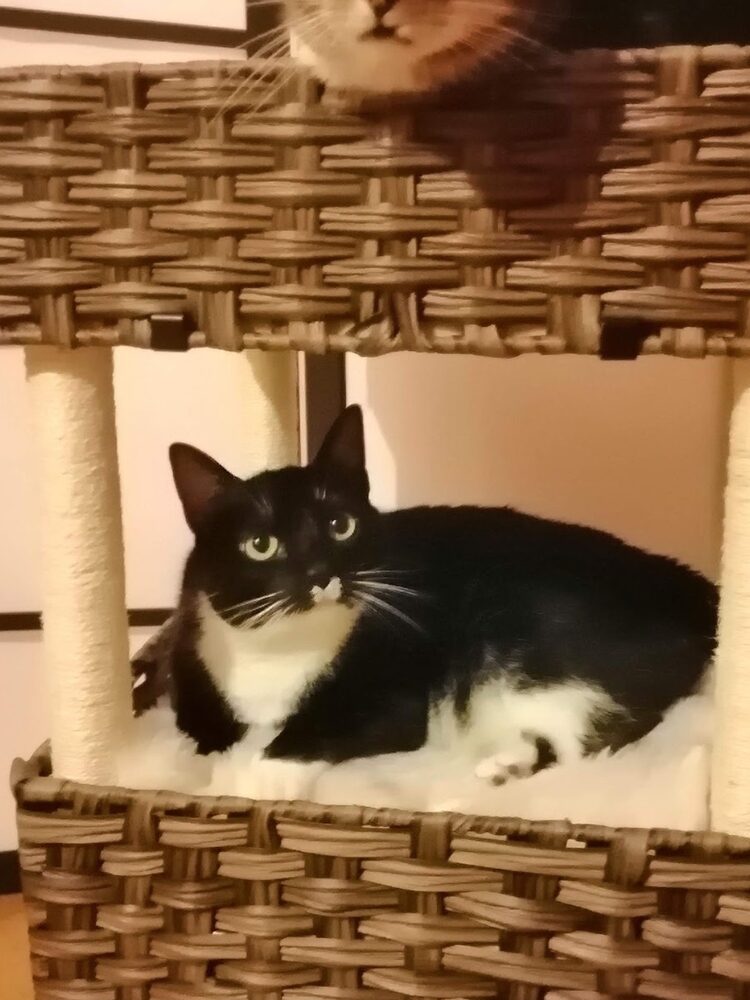Foto de perfil de Amiga