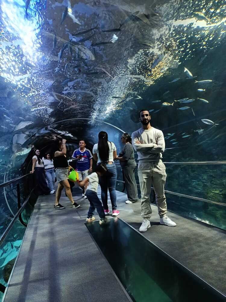 Foto de perfil de Mostafa