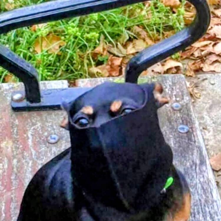 Foto de perfil de Daniel
