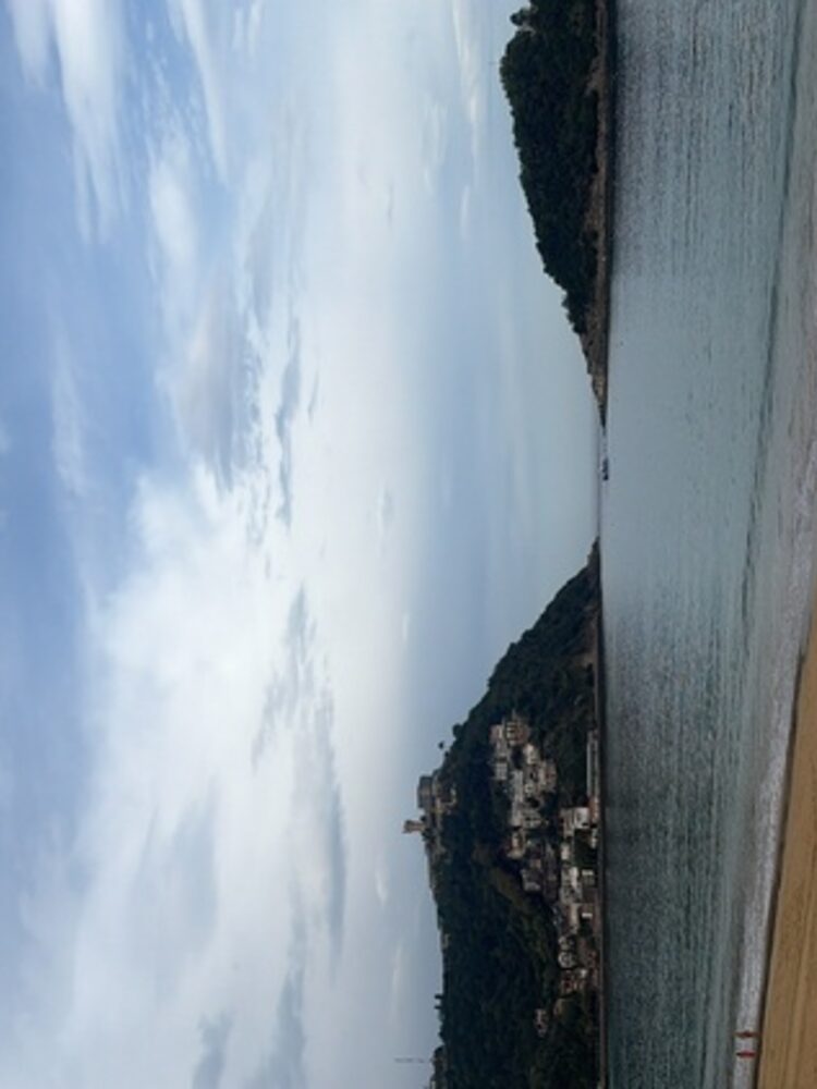 Foto de perfil de Álvaro